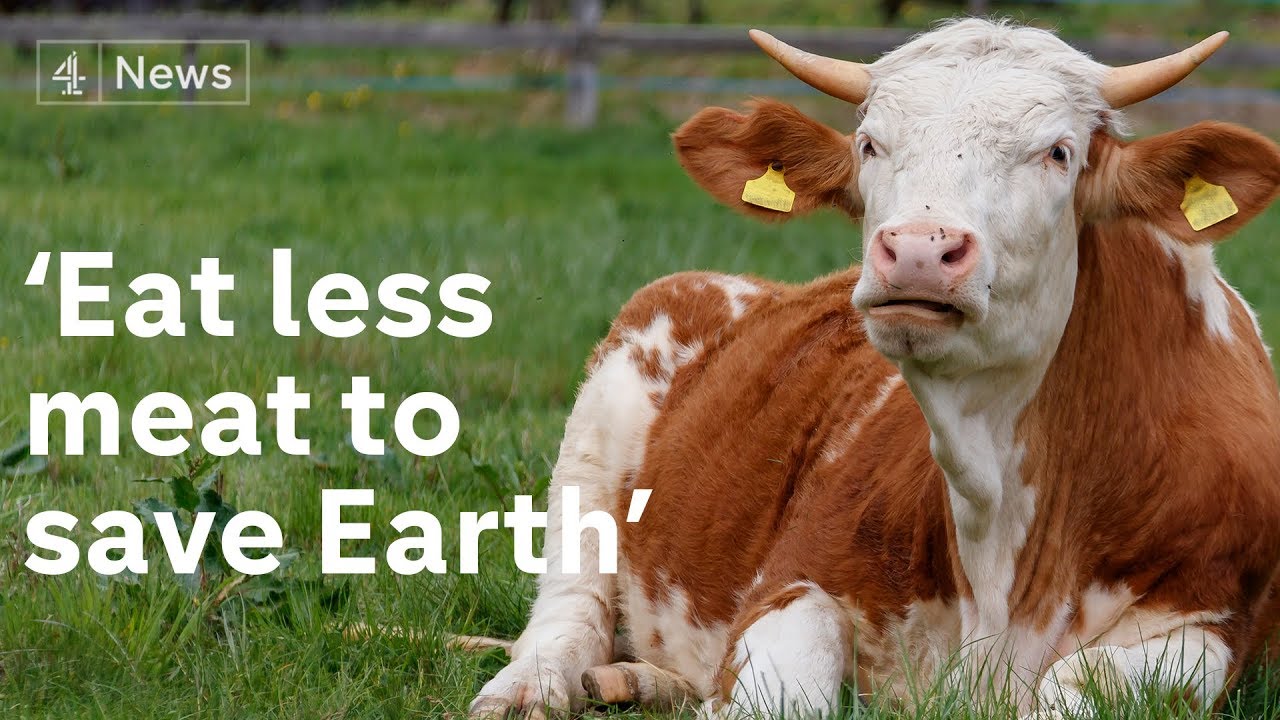 How climate crisis threatens world&rsquo;s food supply and land