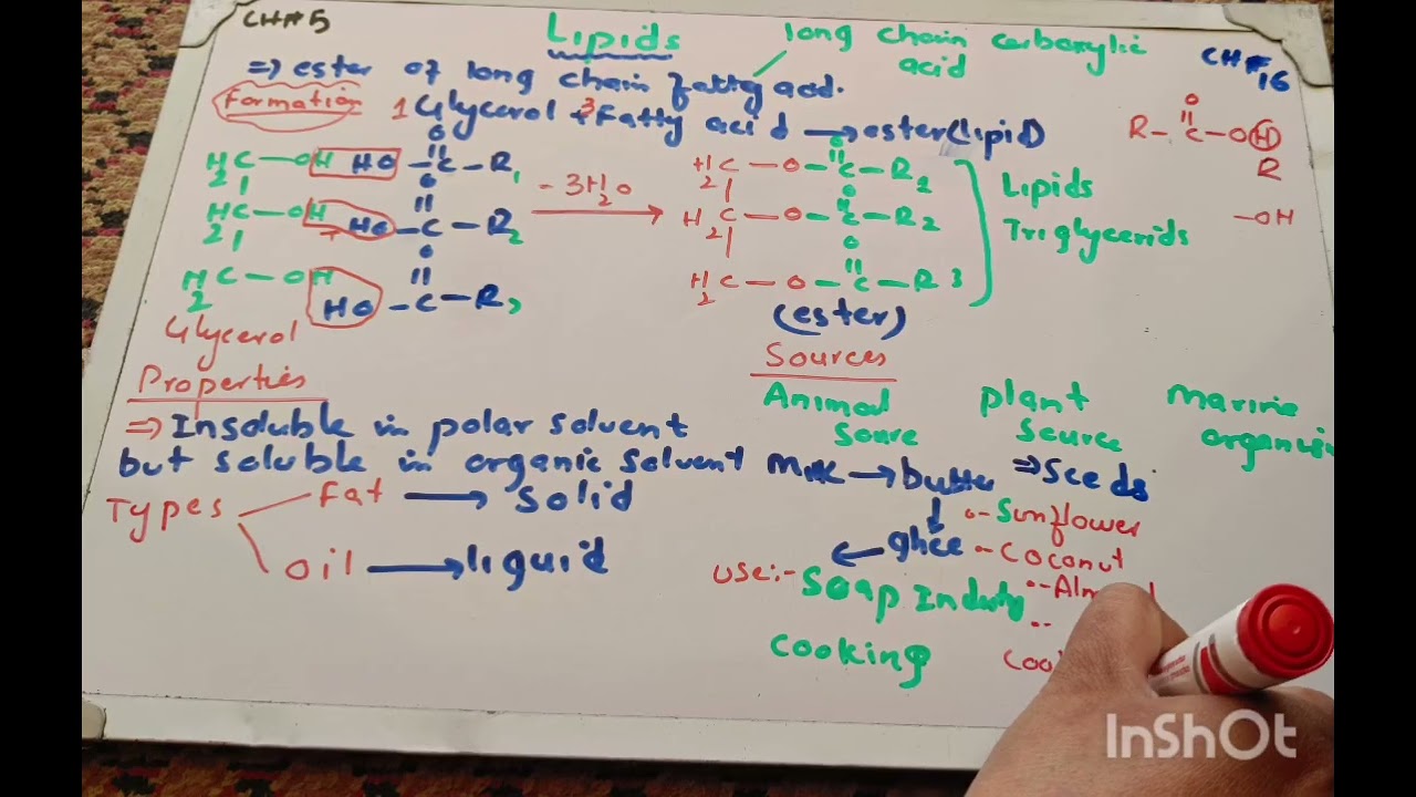Lipids ,formation,types,sources and importance/lec#5 #biochemistry #chemistry #9thchemistry 