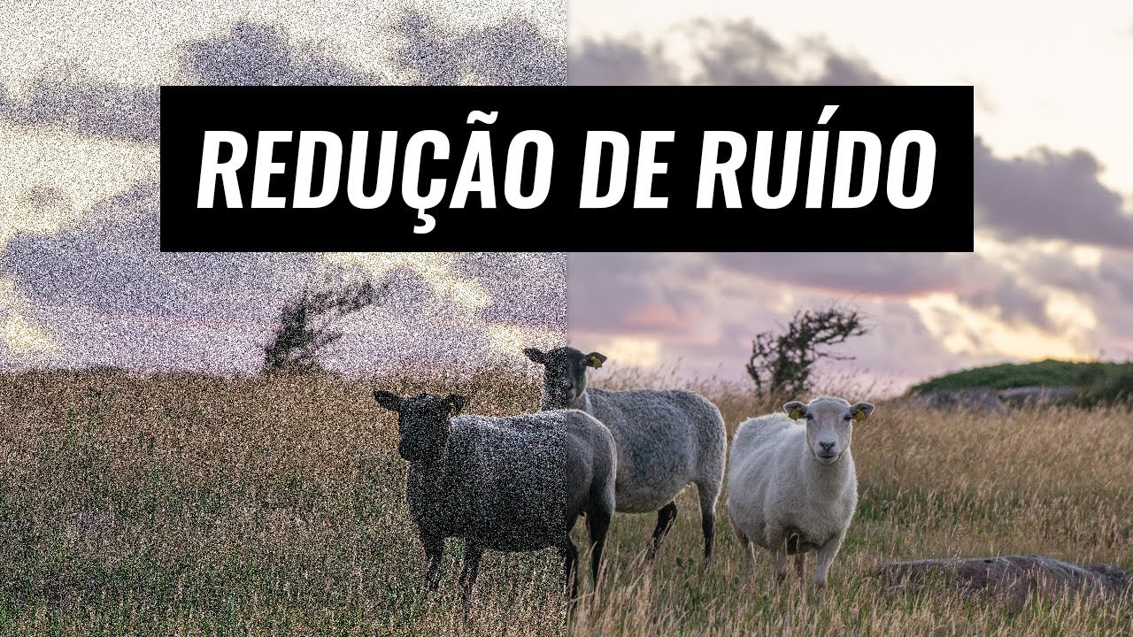 COMO REDUZIR O RUÍDO | TUTORIAL DE LIGHTROOM | FÁCIL E RÁPIDO