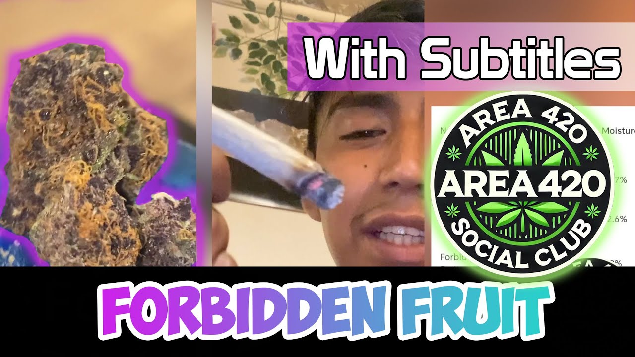 Forbidden Fruit (ES) Flower Review!! #