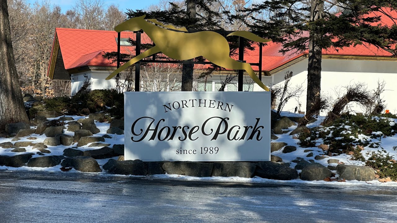 冬のノーザンホースパークに行ってみた / Northern Horse Park in Tomakomai City.