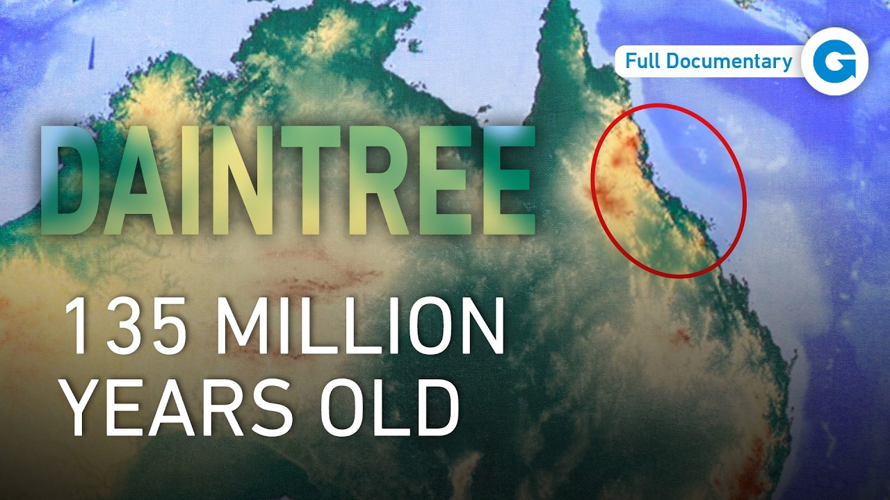 Daintree: The World’s Oldest Rainforest | Nature Documentary