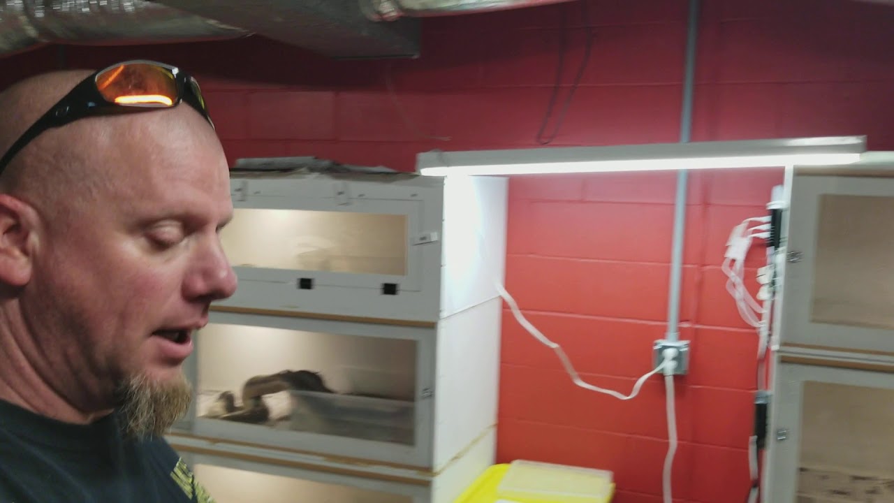 Sliding Vs. Drop Down Door!  Oh.. The Agony!