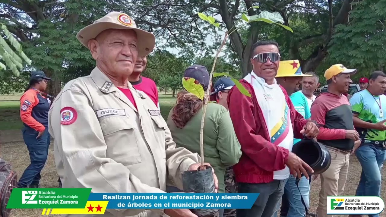 Realizan reforestación y siembra de árboles en el municipio Ezequiel Zamora 