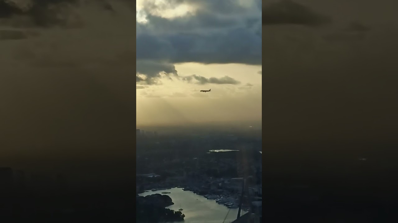 from sydney tower