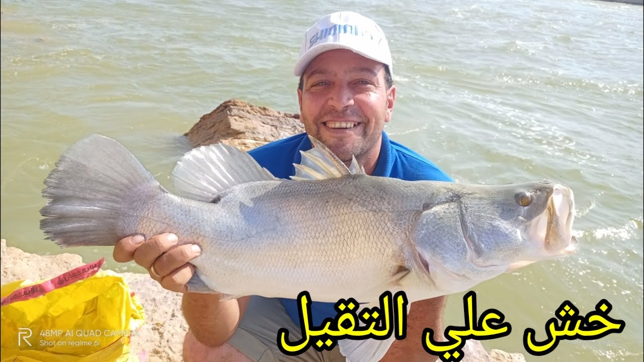 مفيض توشكى محتاج الرابلات دي (وبحيره ناصر)