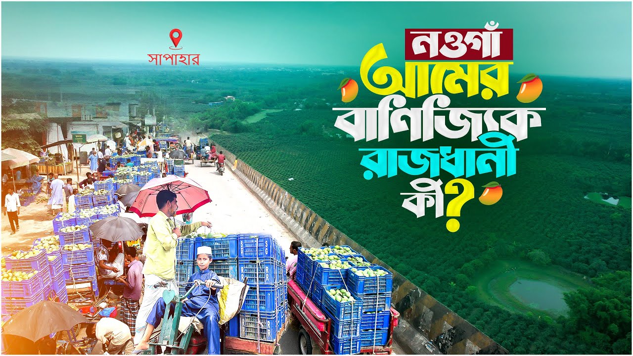 নতুন আমের বাণিজ্যিক রাজধানী  নওগাঁ জেলা | Mango World of Sapahar |  Naogaon