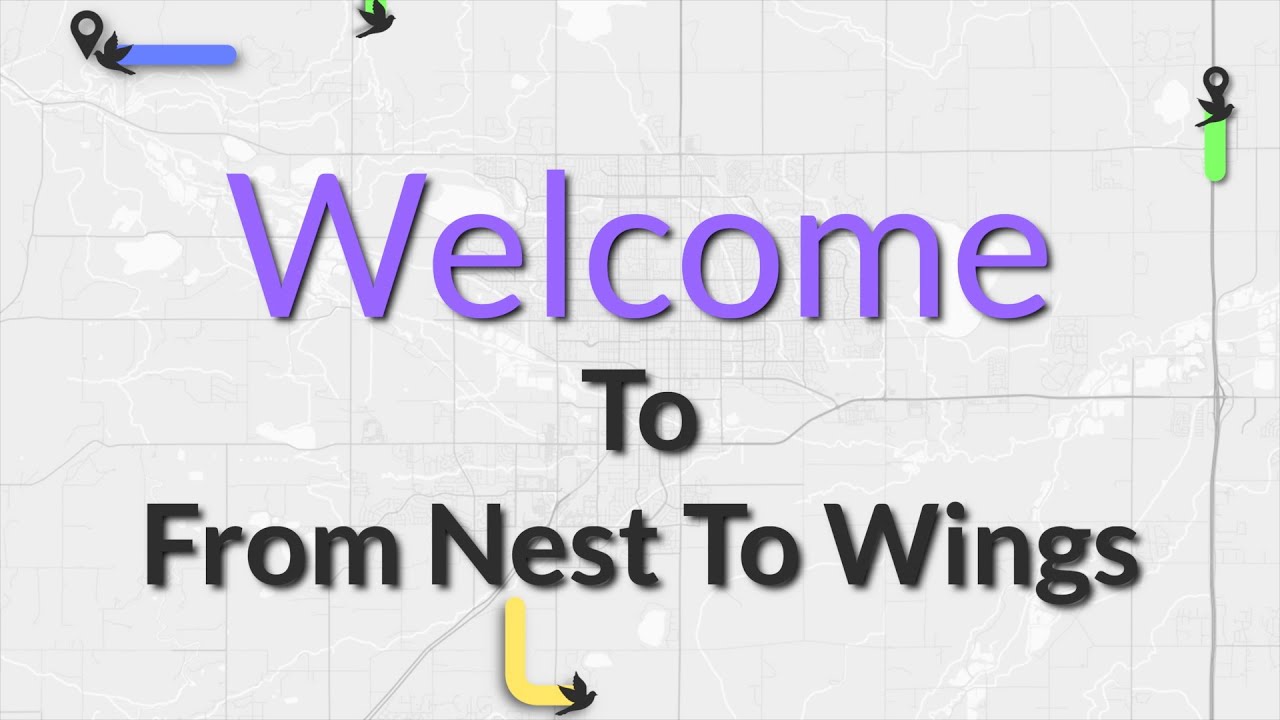 How From Nest To Wings Can Help You!