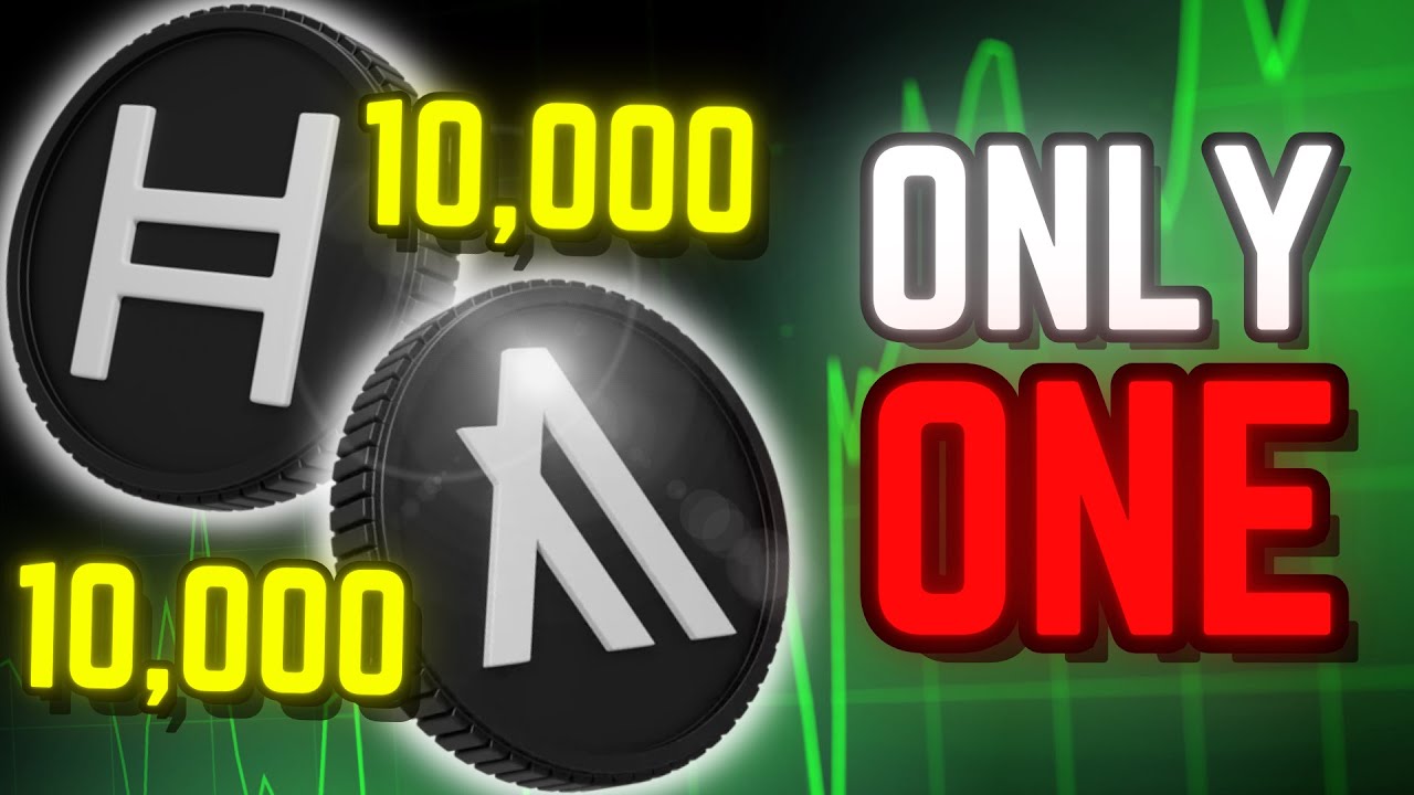 10,000 HBAR or 10,000 ALGO: If I Had To Choose One!