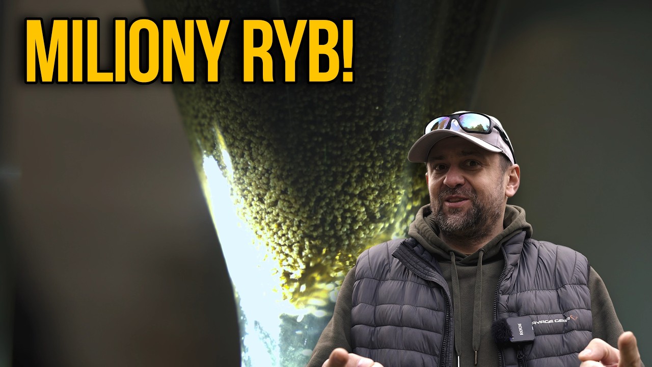 Wylęgarnia ryb nad Parsętą.