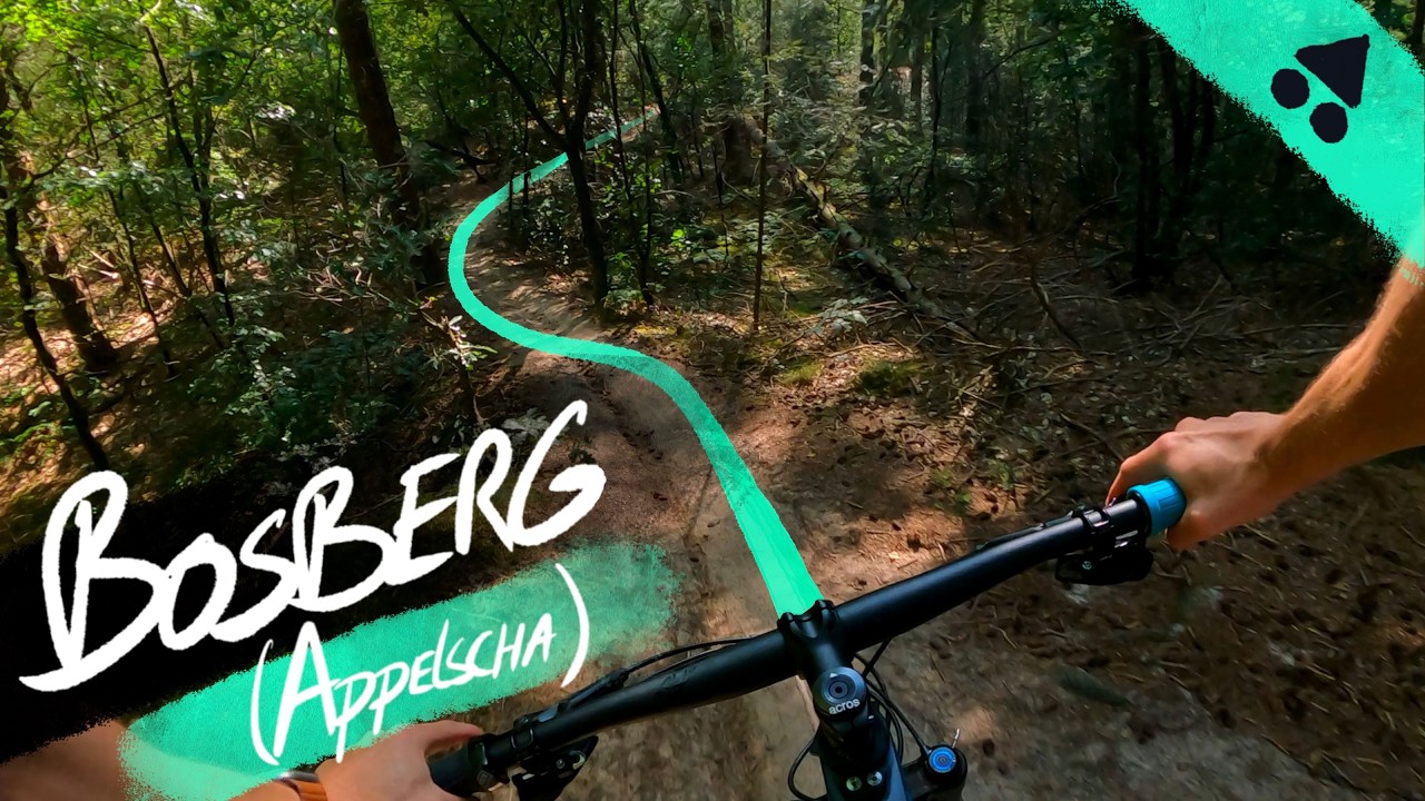 MTB Bosberg (Appelscha) | Singletrack achtbaan in de  Friese Wouden.