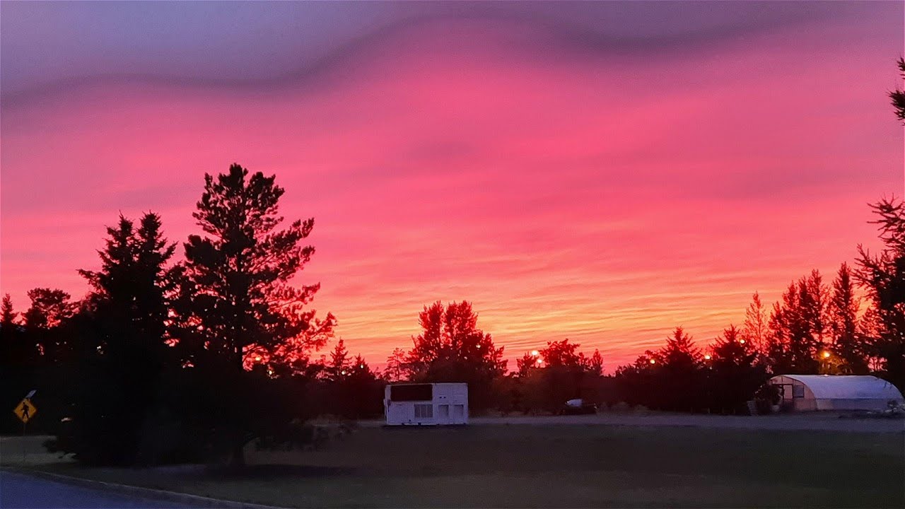 Beautiful Nature in the evening | Saskatoon | Saskatchewan | Canada