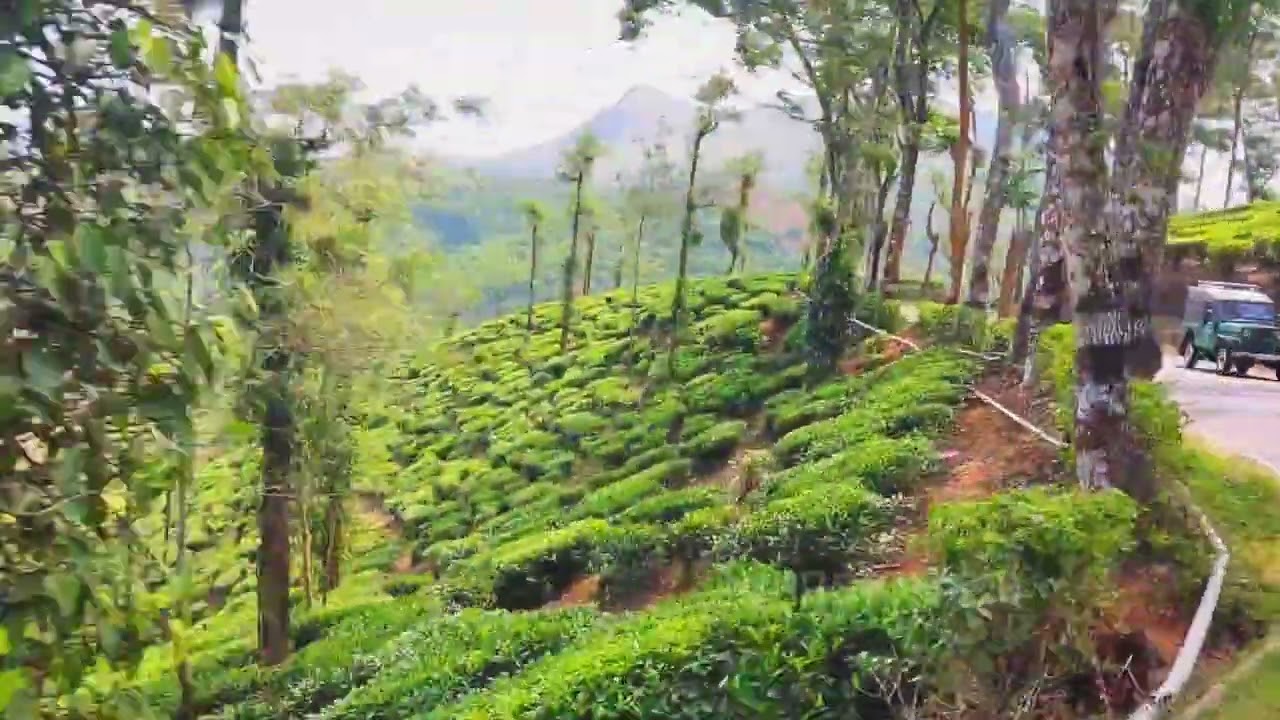 wayanad to ooty by road on bullet