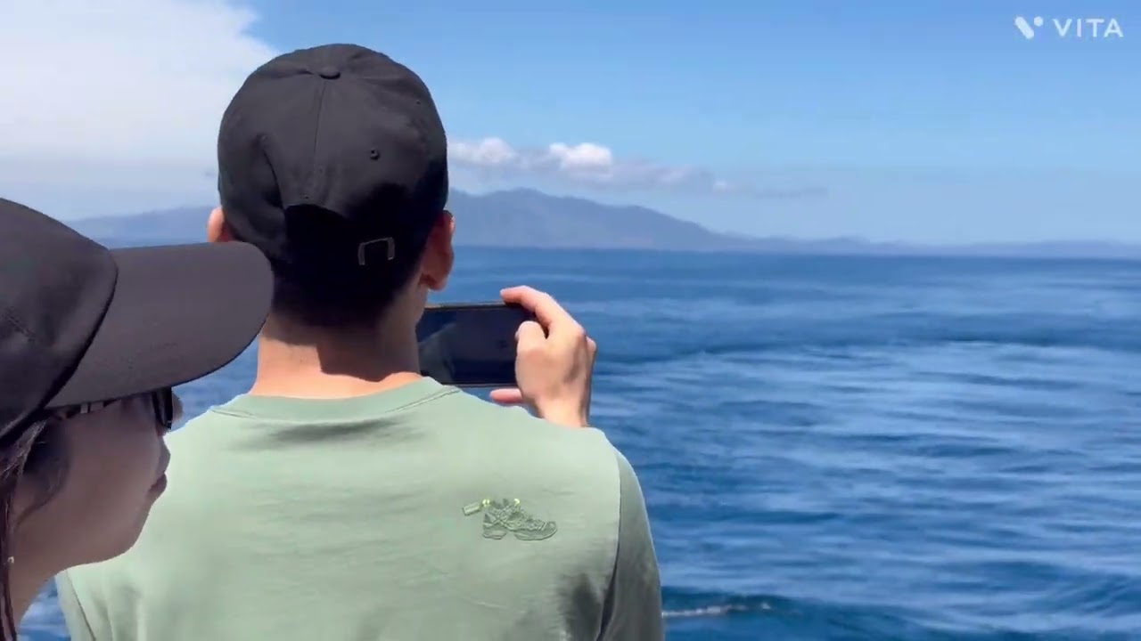 Auckland whale and dolphin watching safari | New Zealand 🇳🇿 travel diaries | North Island