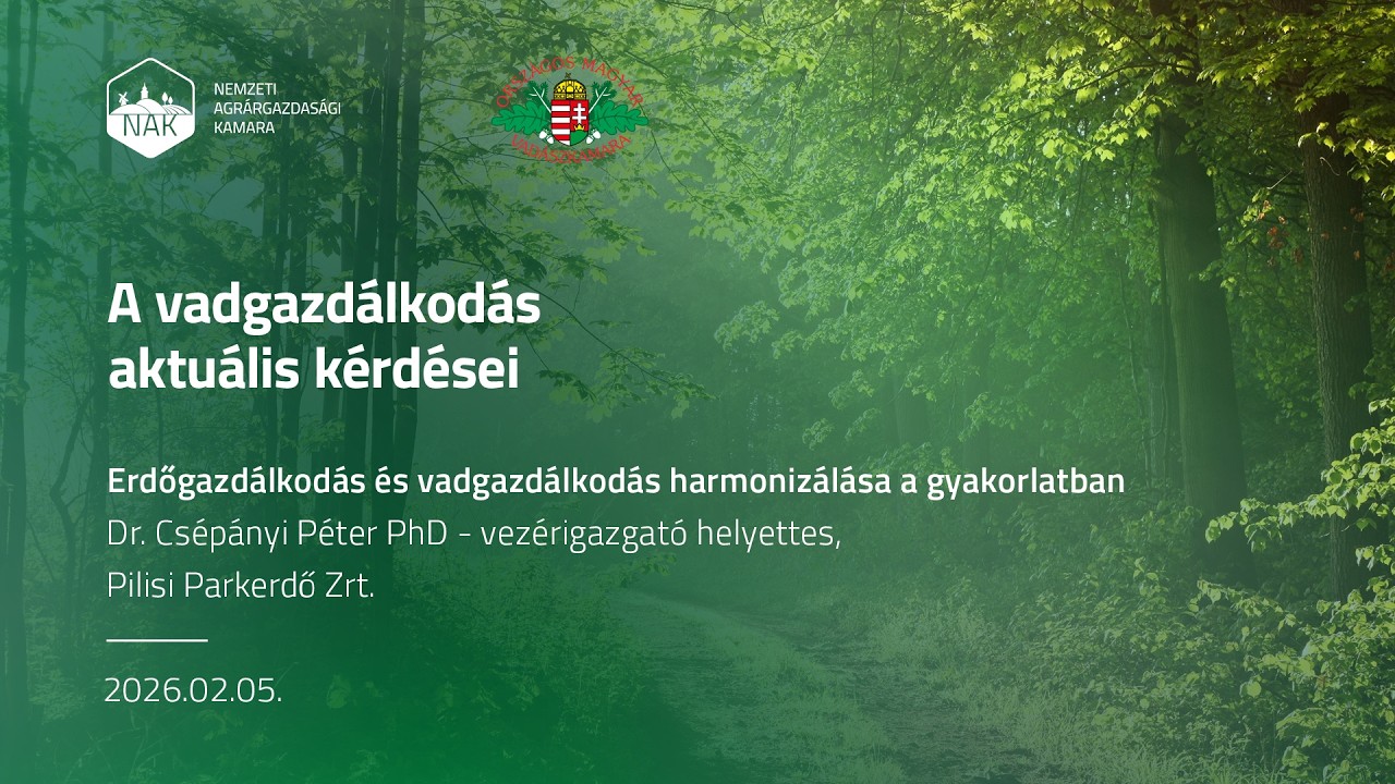 Erdő- és vadgazdálkodás harmonizálása a gyakorlatban