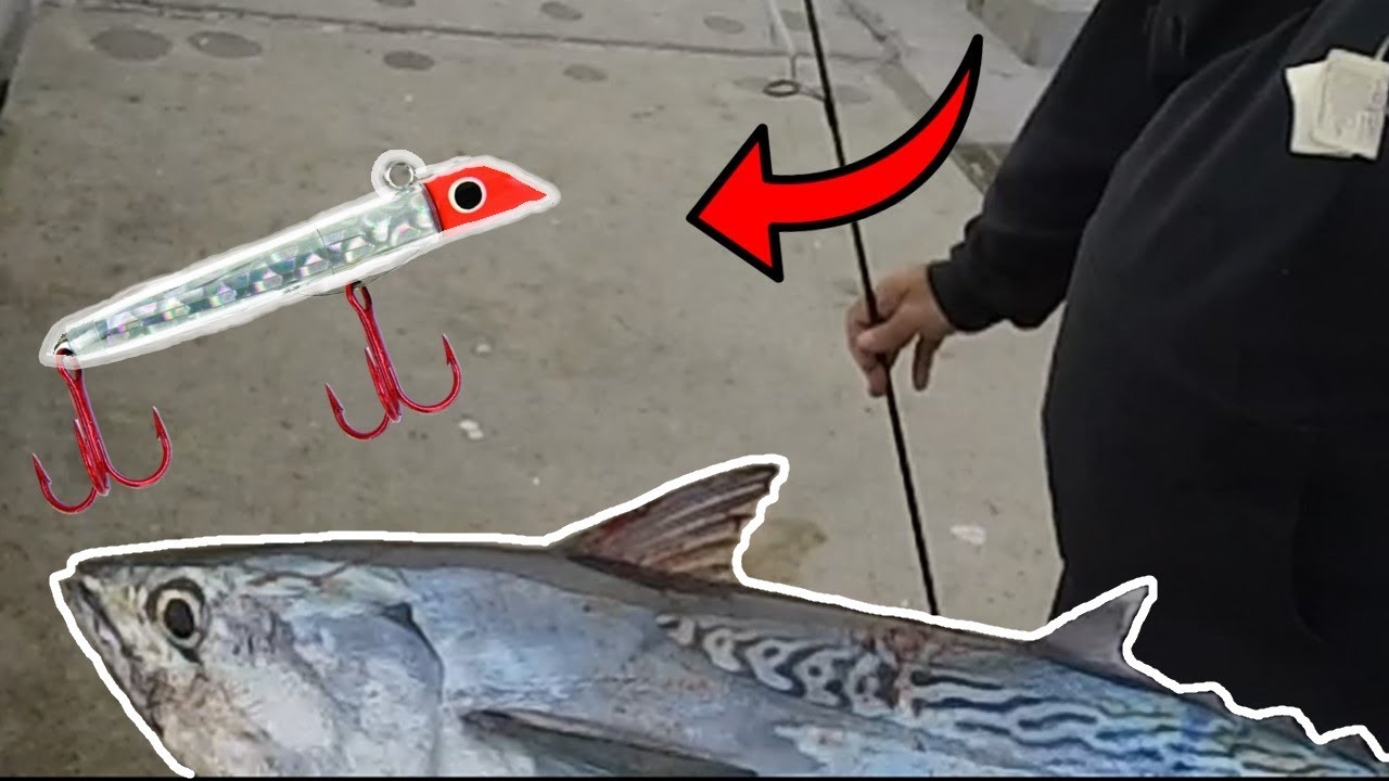 EPIC Day Fishing Johnnie Mercer's Pier - (COBIA, FALSE ALBACORE, SPANISH MACKEREL, BLUEFISH & MORE)