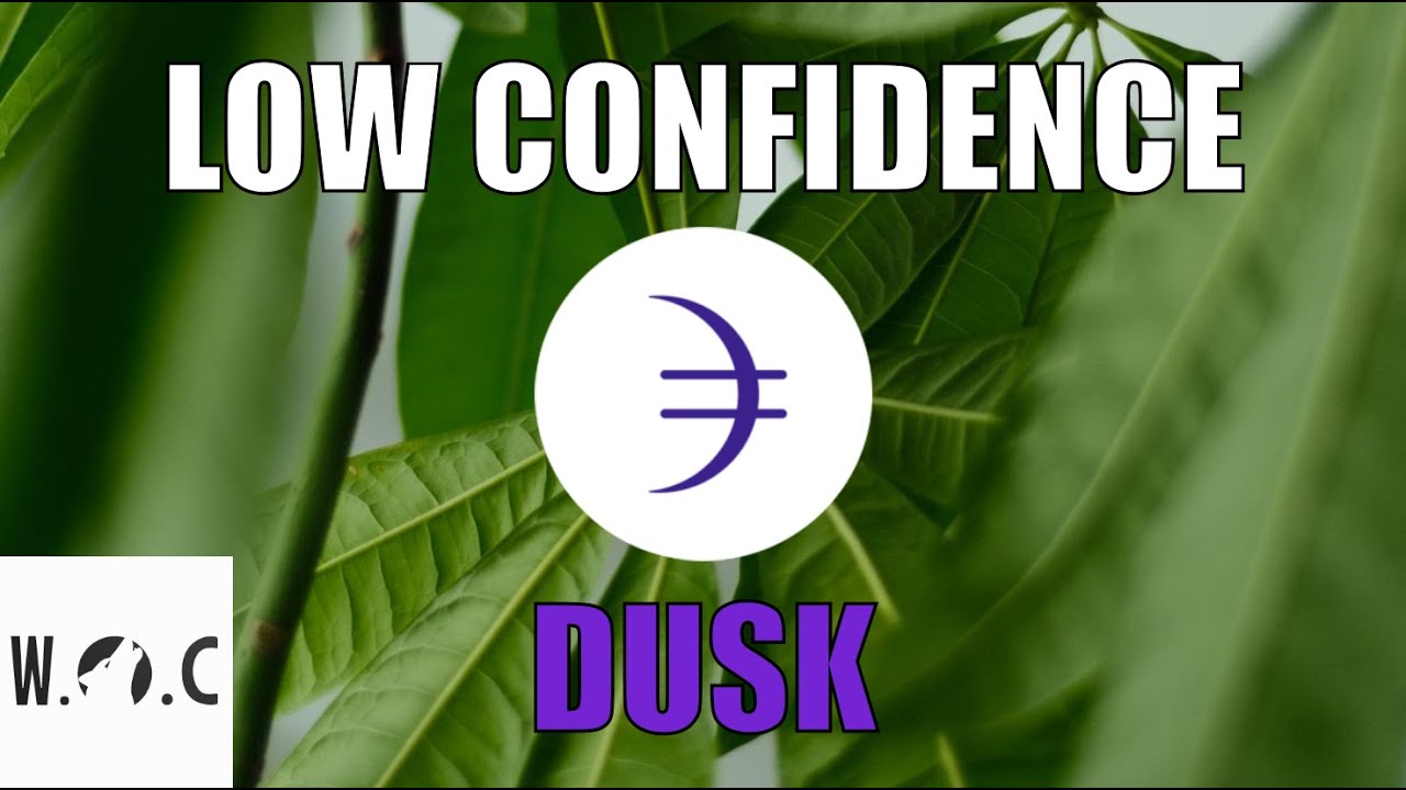 Brutally Honest Dusk Network Analysis (Livestream Clip)