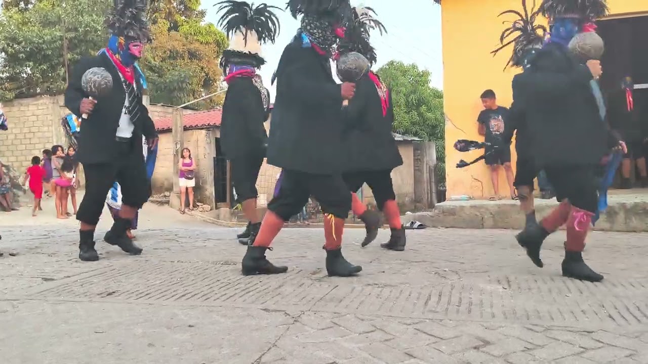 Tejororones del Barrio de las Piedras. Febrero 2026.