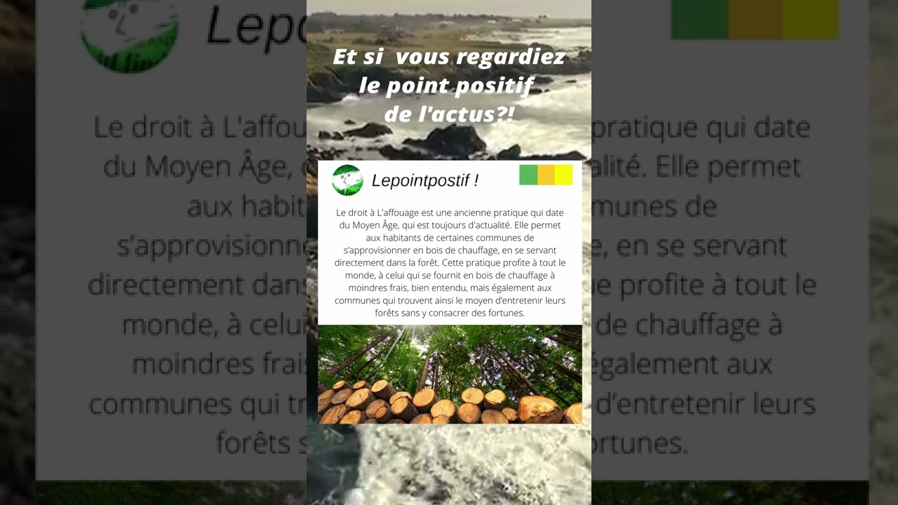 l'affouage peut vous faire économiser de l'argent !