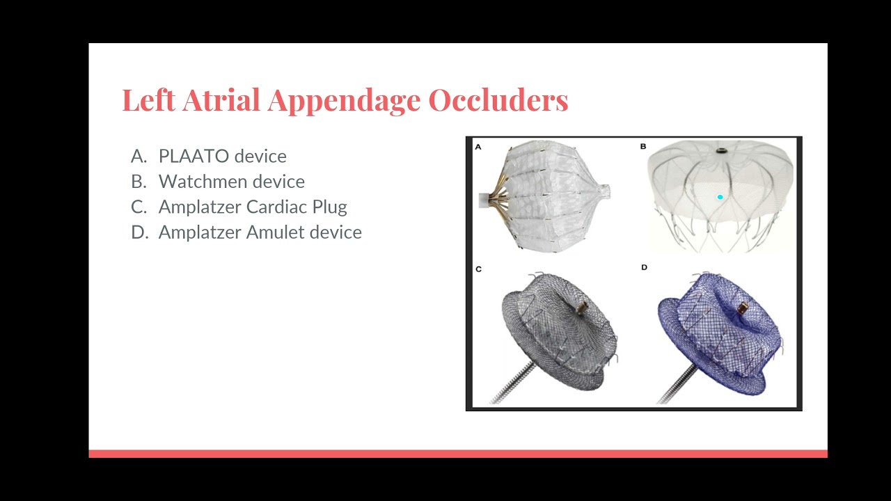 Amplatzer Amulet Device