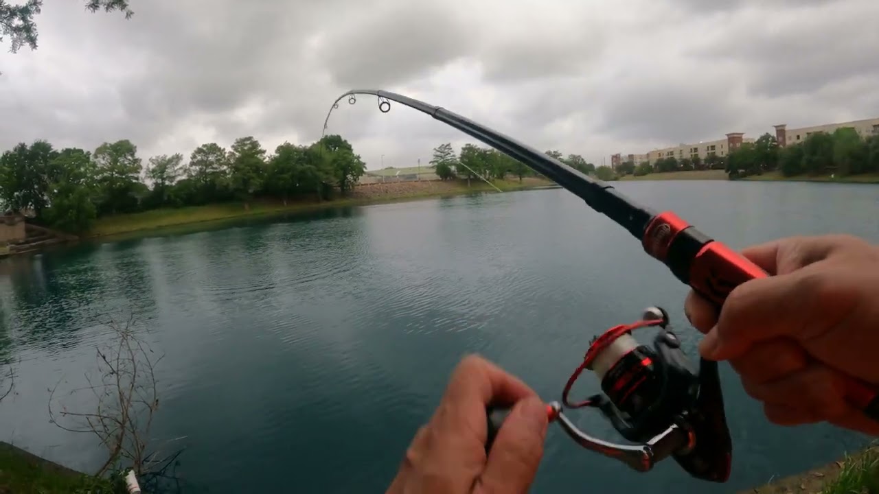 Houston Urban fishing #1