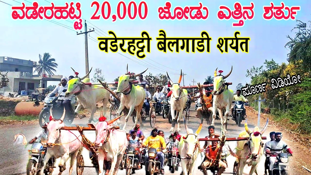 ⚜ವಡೇರಹಟ್ಟಿ 20,000 ಜೋಡು ಎತ್ತಿನ ಶರ್ತು |वडेरहट्टी बैलगाडी शर्यत~💨🔥 |Waderhatti Bullcart Race 29/1/2026 