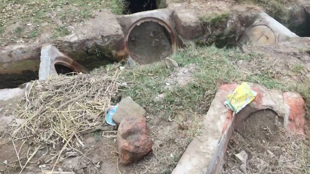 Violog 120sal-porana-khoo