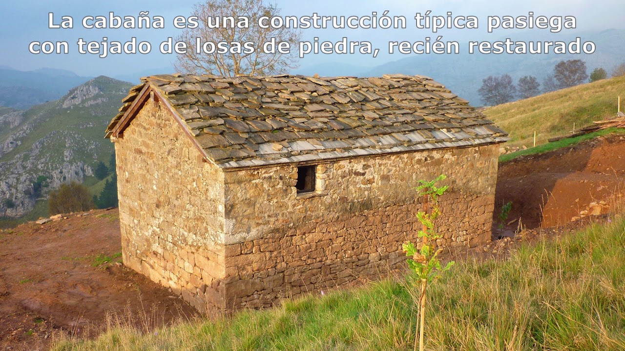 Esta era mi cabaña en el verde norte...