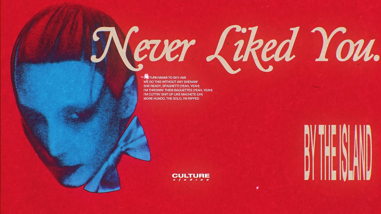 NEVER LIKED YOU.