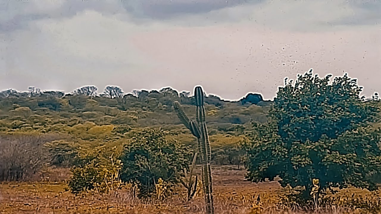 OTIMA FAZENDA PARA VENDER