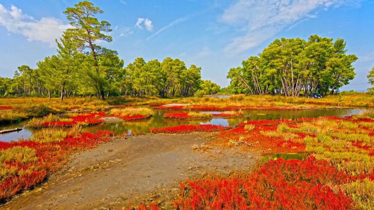 Divjaka National Park 2020-The Best from Albania