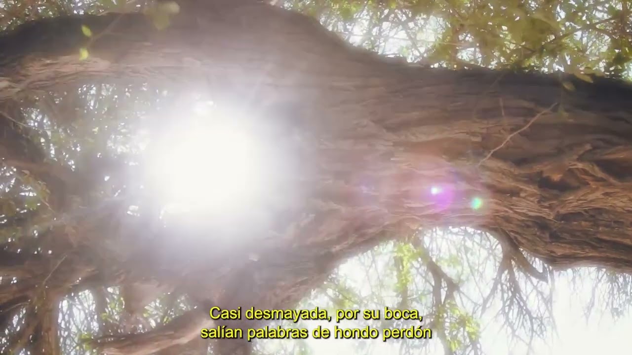 Leyenda del Algarrobo