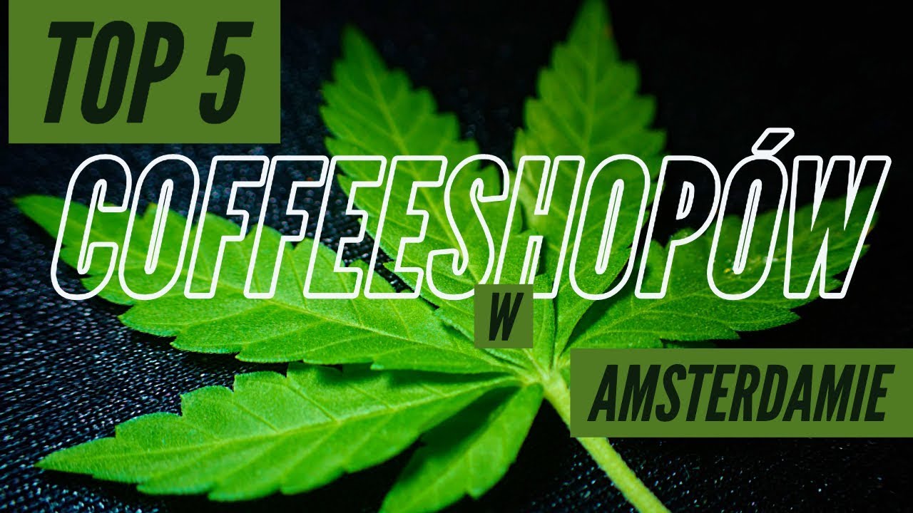 TOP LISTA- TOP 5 Coffeeshopow w Amsterdamie