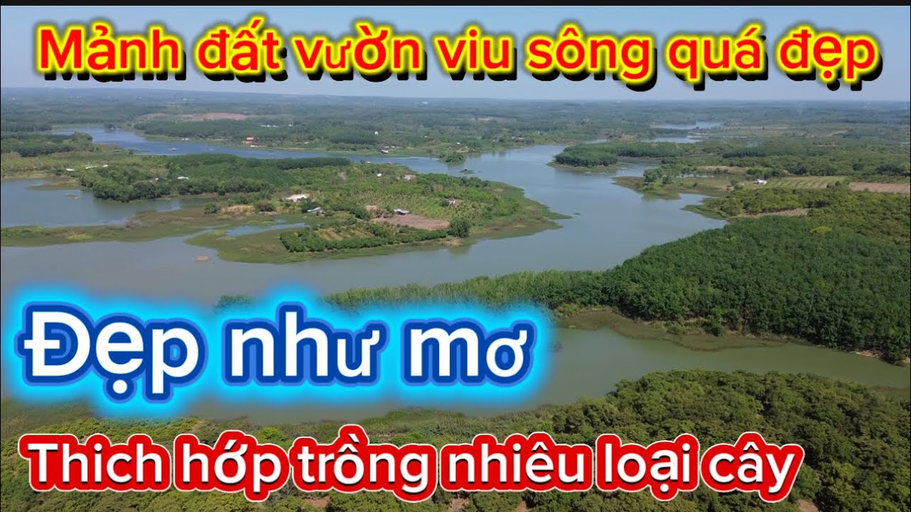 Mảnh đất vườn viu sông nguồn thu nhập 