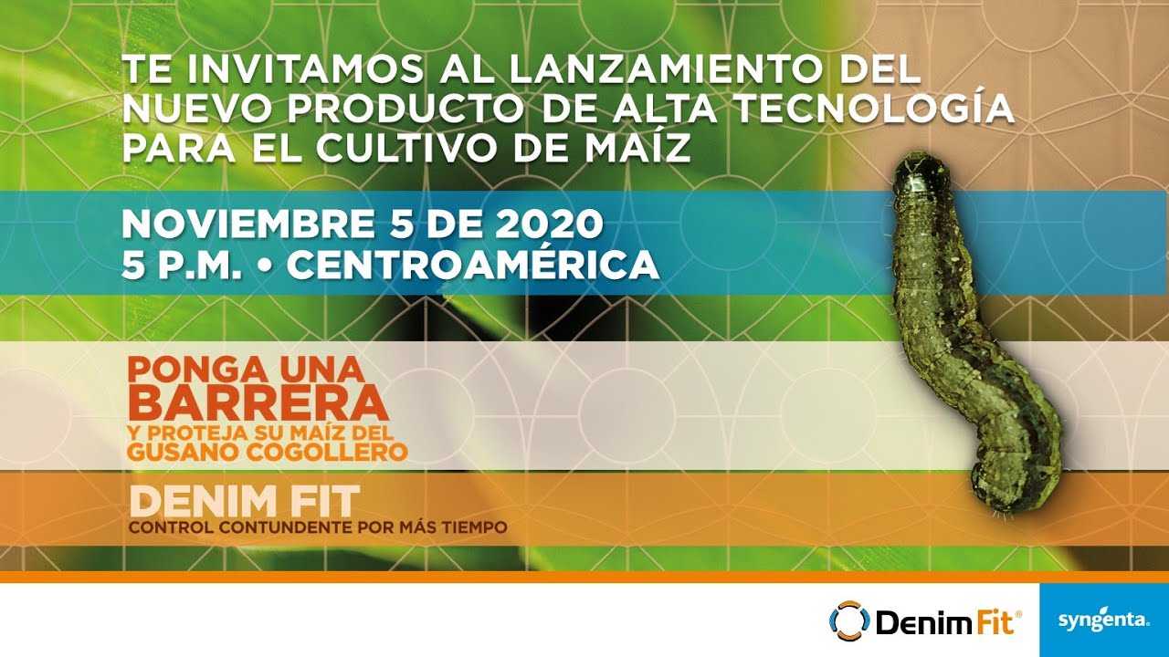 SYNGENTA - LANZAMIENTO DENIM FIT - MAÍZ - (GUATEMALA - EL SALVADOR - HONDURAS)