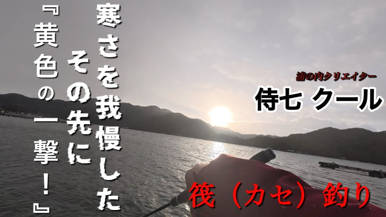 寒さを我慢したその先に『黄色の一撃！』筏（カセ）釣り　侍7 クール　浦の内クリエイター