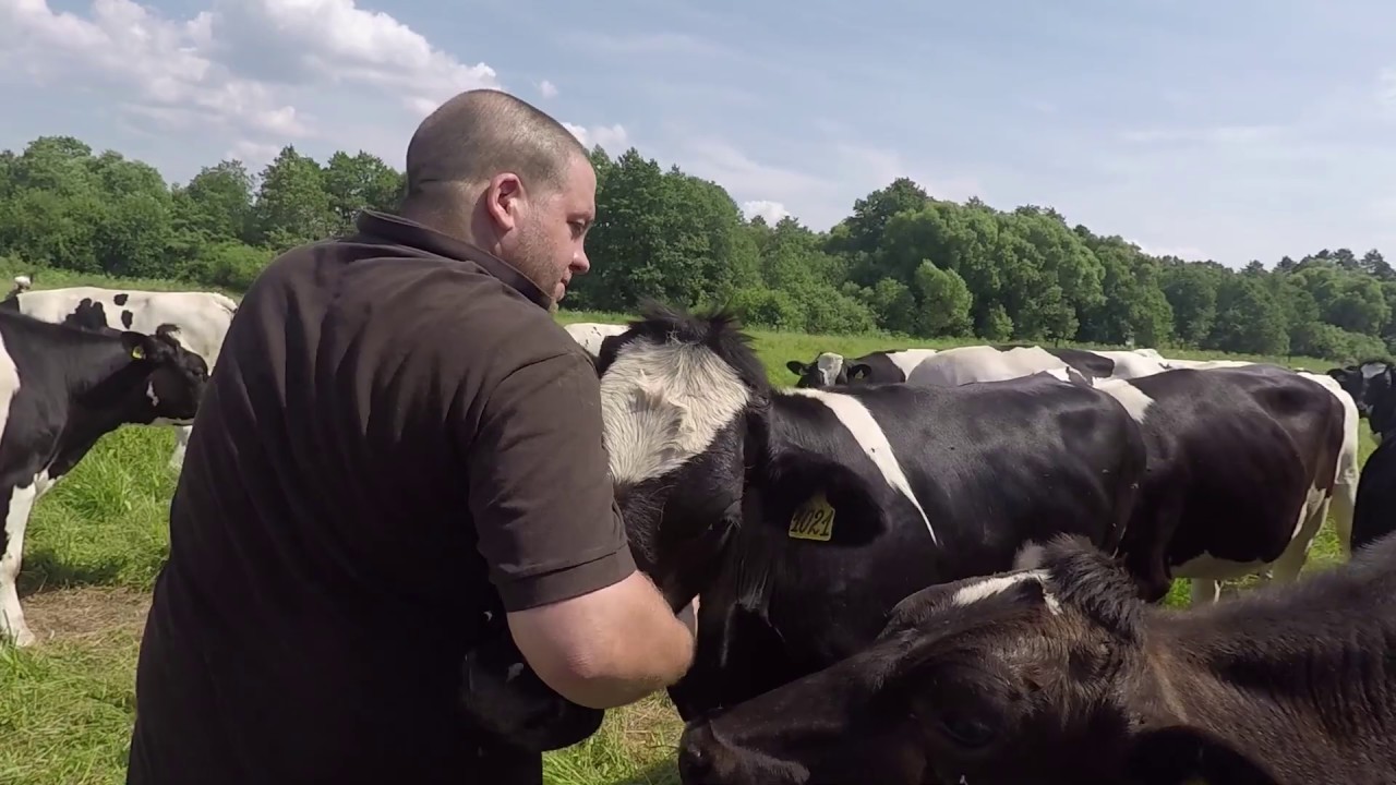 Schweizer Bauern in Russland - 