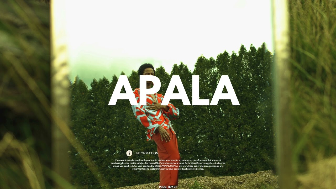 Wizkid x Terry Apala x Afrobeat Instrumental - 