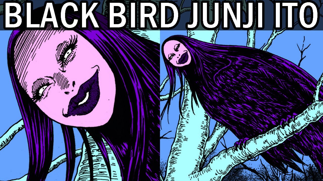 Black Bird Narrado en Español - Historia de Junji Ito Completo | HFLain