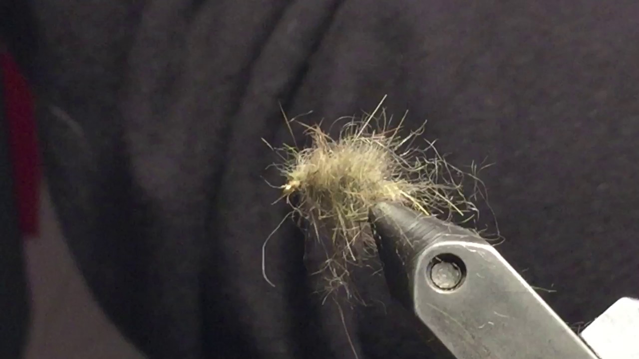 Fly Tying - Shenk Cress Bug
