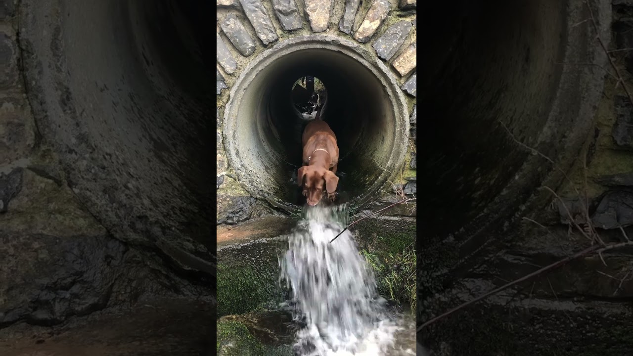 Lligwy Beach Anglesey 