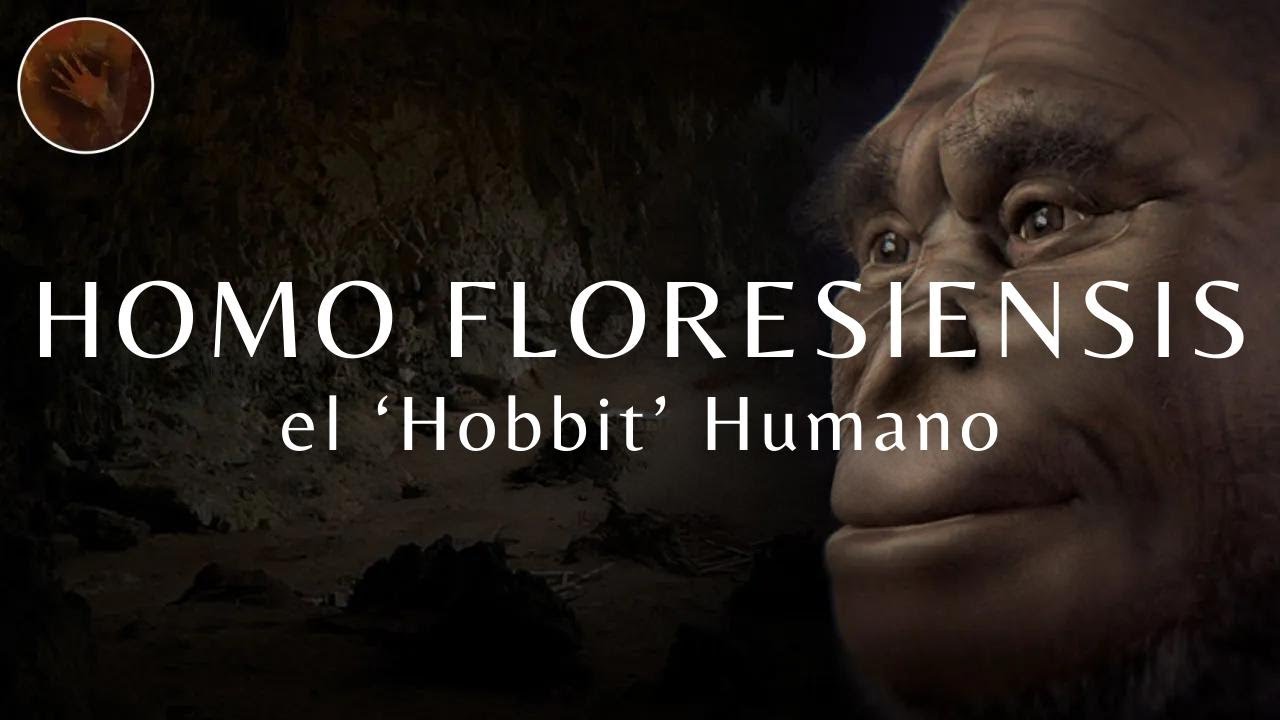Homo Floresiensis: El 