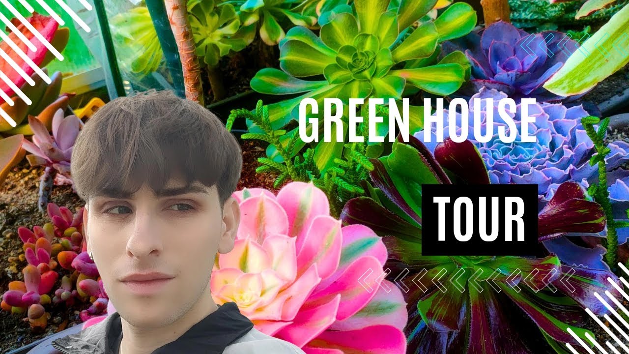 JE VOUS MONTRE TOUTE LA SERRE ! #greenhouse
