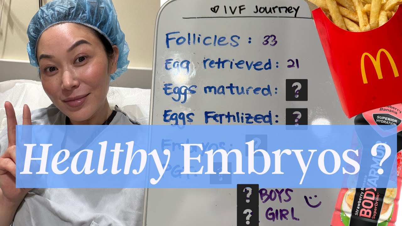 ivf diaries | Results of my Egg Retrieval VLOG