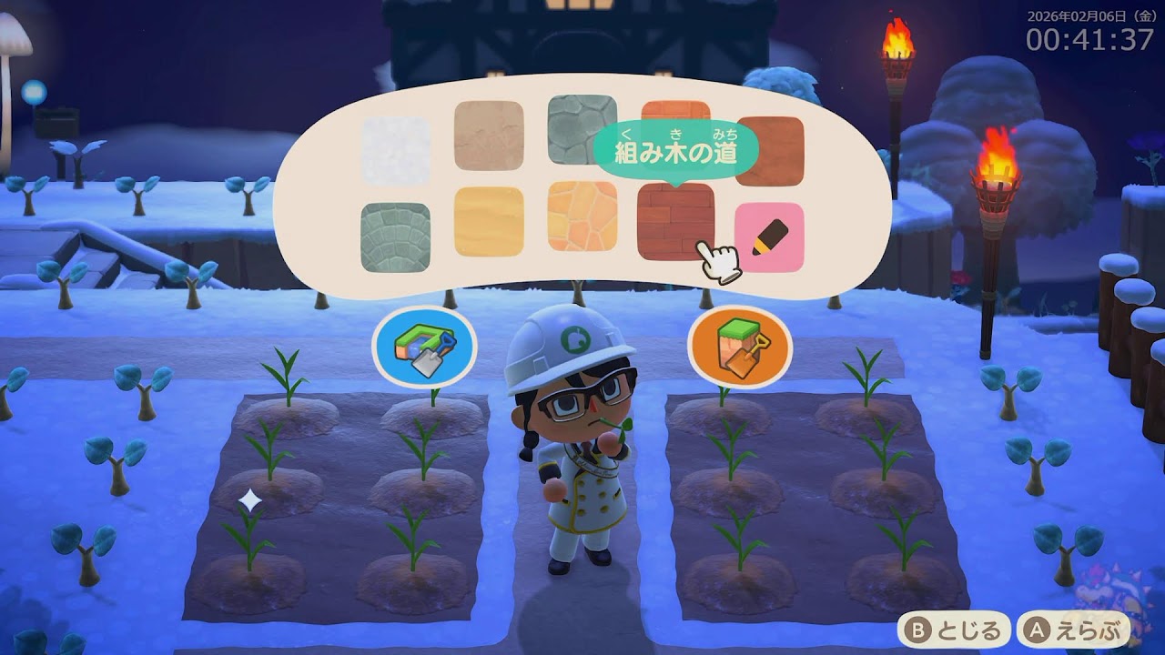 switch2 あつまれ どうぶつの森　日課ホテル経営 #21