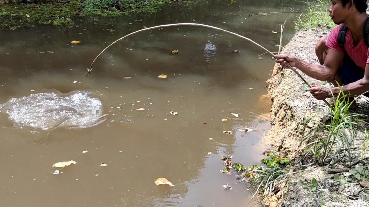 TIDAK PERNAH DI PANCING ORANG !! BEGINILAH KEGANASAN IKAN DI PARIT INI MAS BROoo...