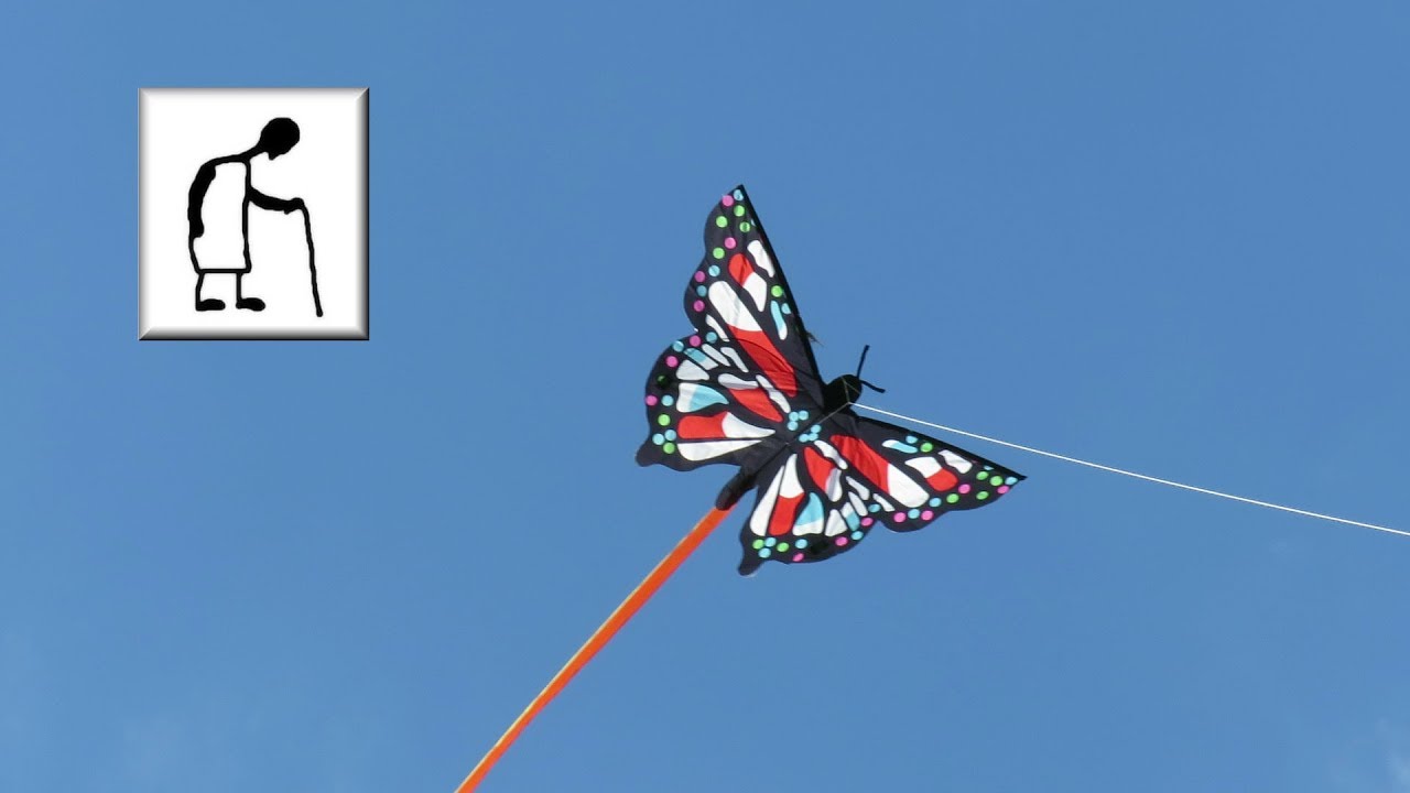 ALDI butterfly kite Shortened Video