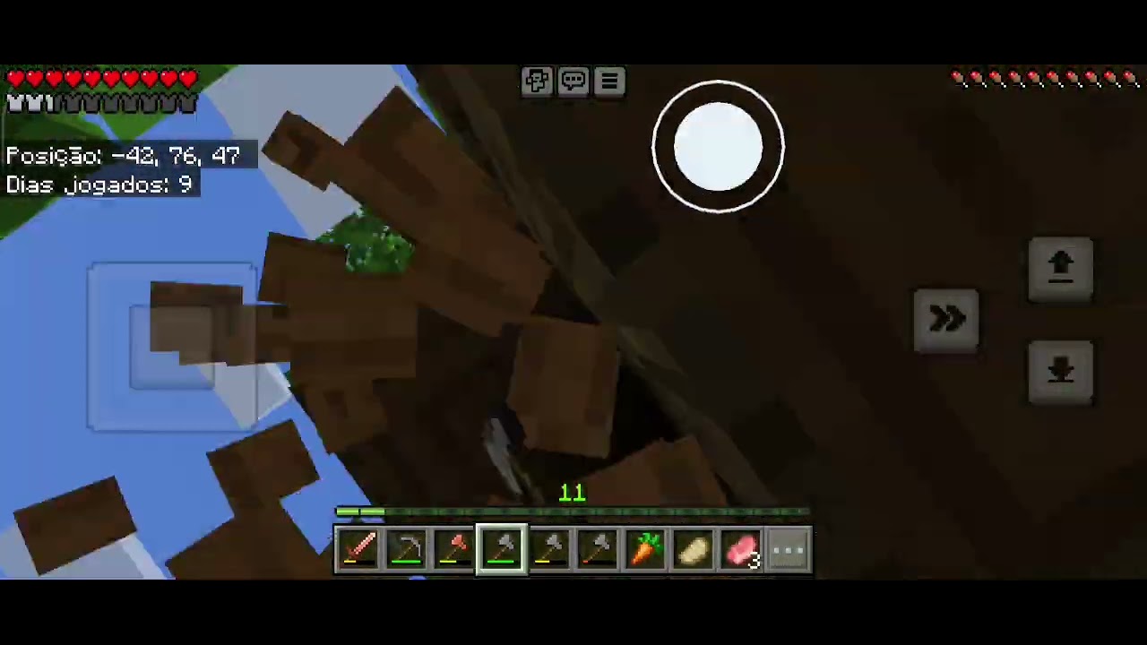 Parte 2 da série sobrevivendo meu mundo 