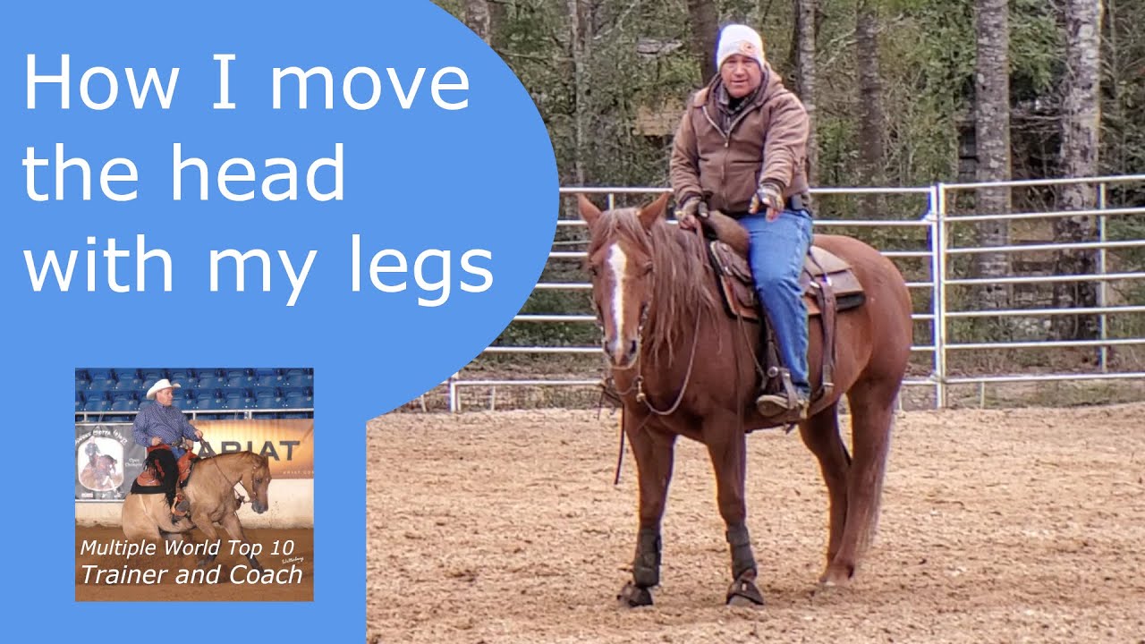 How the rider's legs control the whole horse
