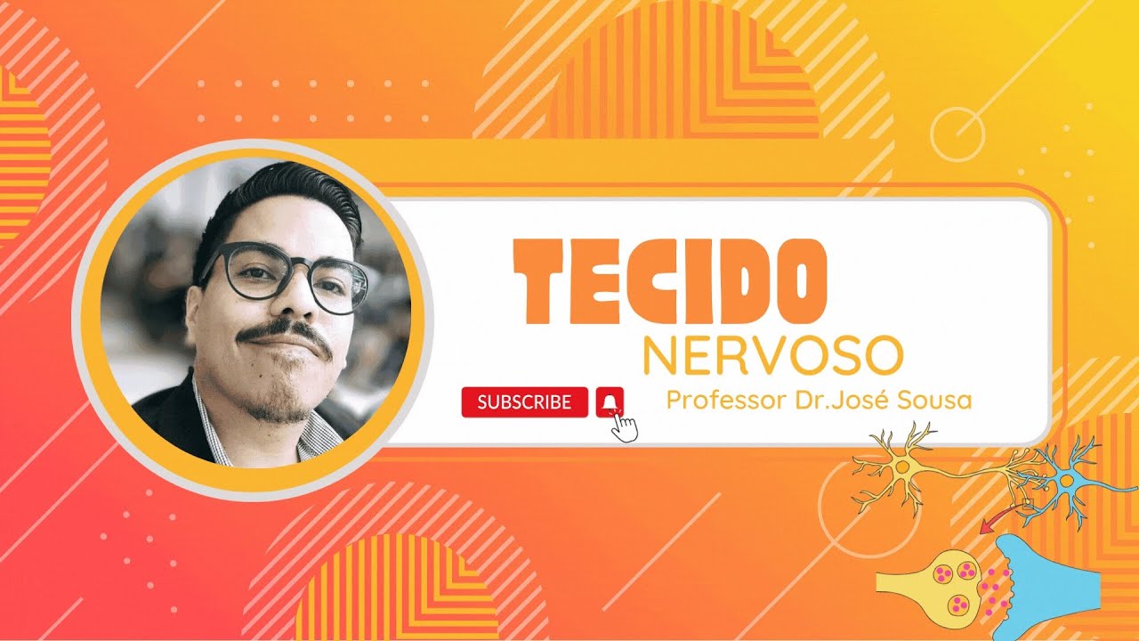 Tecido nervoso  Histologia ensino superior  Completo